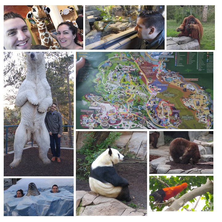 zoo