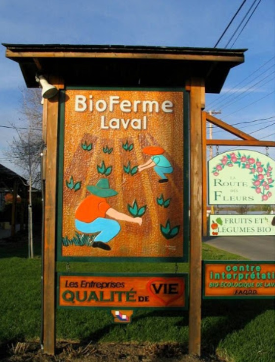 BioFerme Laval, ferme, Laval, Ste-Dorothée