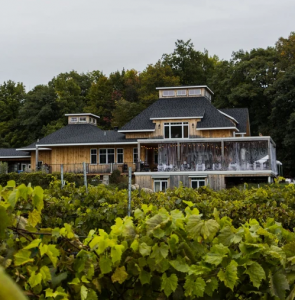 vignobles