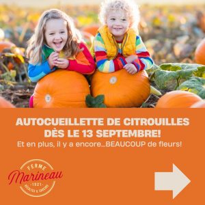 Citrouilles Ferme Marineau