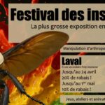 Festival des insectes de Laval 