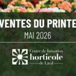Les ventes du printemps Centre de formation Horticole